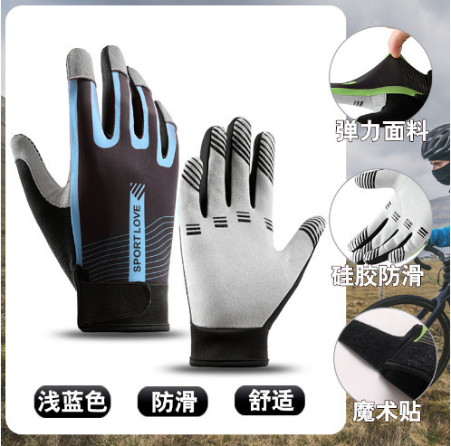 Frisbee, gloves