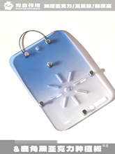 附生兰板热植鹿角蕨上板亚克力育苗石斛彩色定植蕨类挂板板花盆