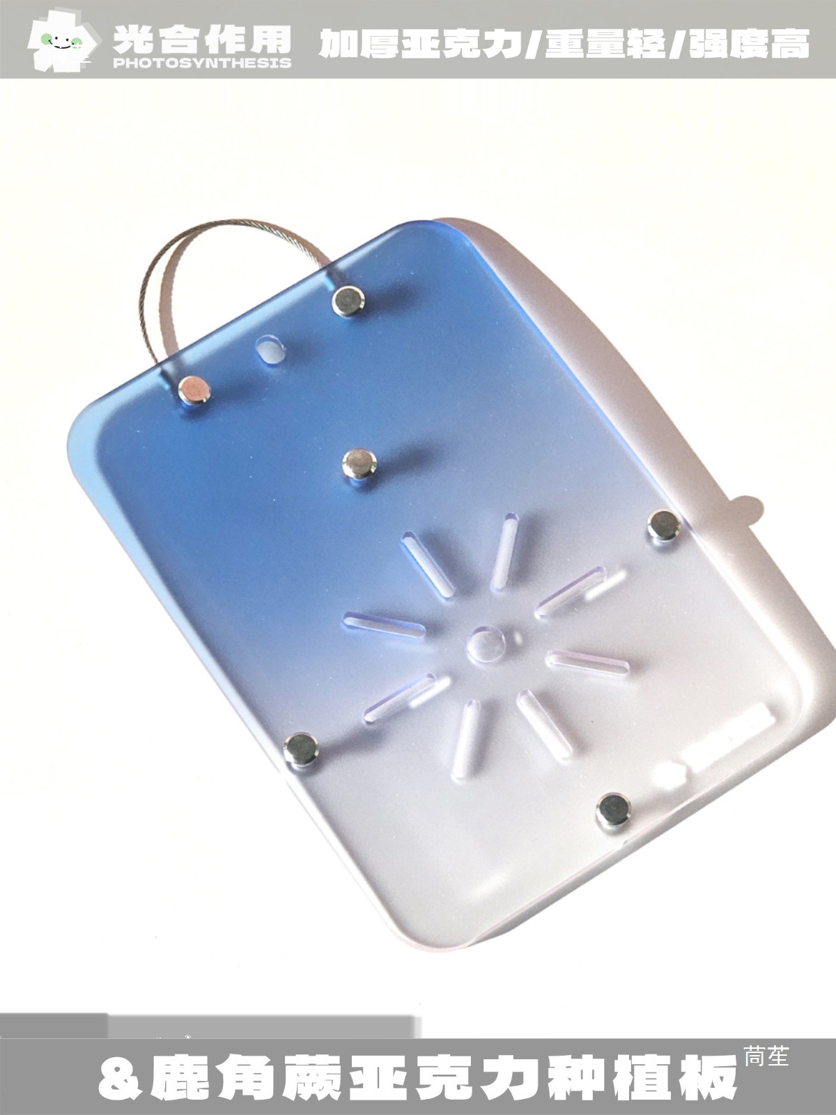 附生兰板热植鹿角蕨上板亚克力育苗石斛彩色定植蕨类挂板板花盆