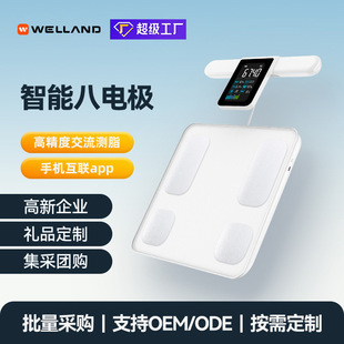 Wolai Manufacturer Smart Eight-Electrode Body Fat Scale Fitness Fat Measurement App Connection Human Body Scale Portable Weight Scale Wholesale