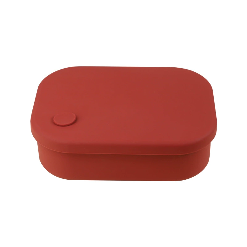 Square Silicone Lunch Box, Multi-Compartment Mini Bento for Children & Adults, 4-Section