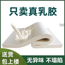 ̩���h�����z���|���z1��8���|10cmϯ��˼�������zܛ�|���s�ɲ�ϴ