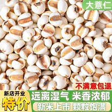 ޲�׳�С�����F��޲����Ŵ������s�Z����������������{��޲����