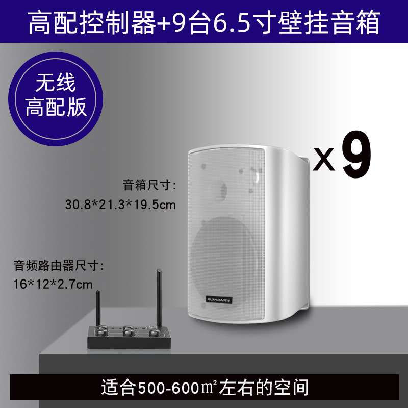 壁挂无线音响店铺舞蹈教室餐厅健身房会议室商用音箱组合套装|undefined
