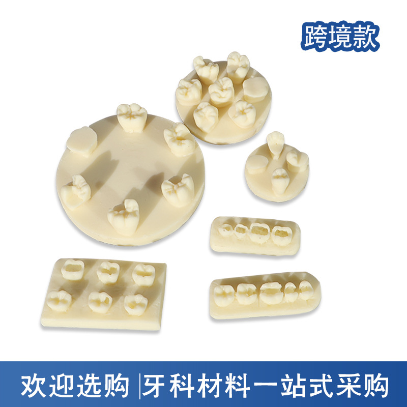 Ejercicios de rellenos de canales radiculares de dientes Inserción de resina Modelo de ejercicio de examen Ejercicios dentales Bloques de resina