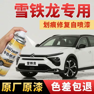 Citroen C4L C-Elysée Mirvari Ağ Moonlight Gray avtomobil boya təmiri karandaşı