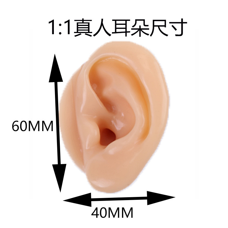 Silicone Simulation Ear Model Silicone Ear Fake Ear Model Earrings Headphone Display Props Factory Direct Supply