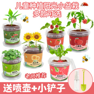 ͯNֲС҃ˮֲ^̫ꖻݮ߲diyꖹⷿ6