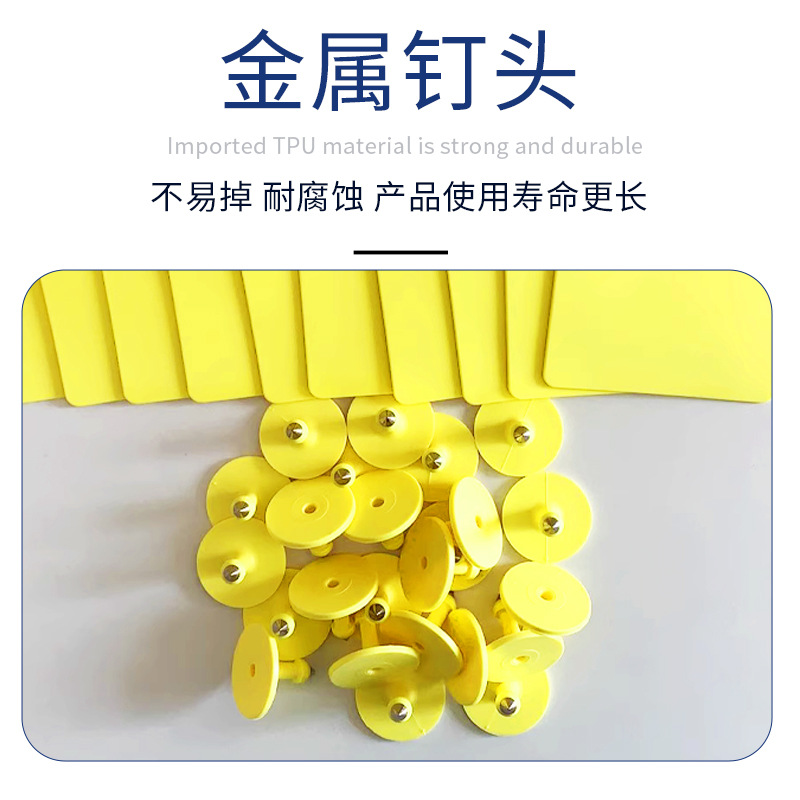 TPU etiqueta de oreja dividida de vaca vaca grande etiqueta de oreja de vaca pequeña etiqueta de oreja de vaca grande y pequeña etiqueta de oreja dividida marca de oreja de vaca