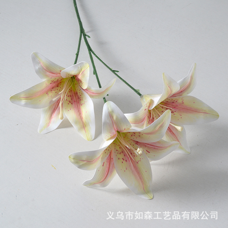 3 heads film lily champagne powder