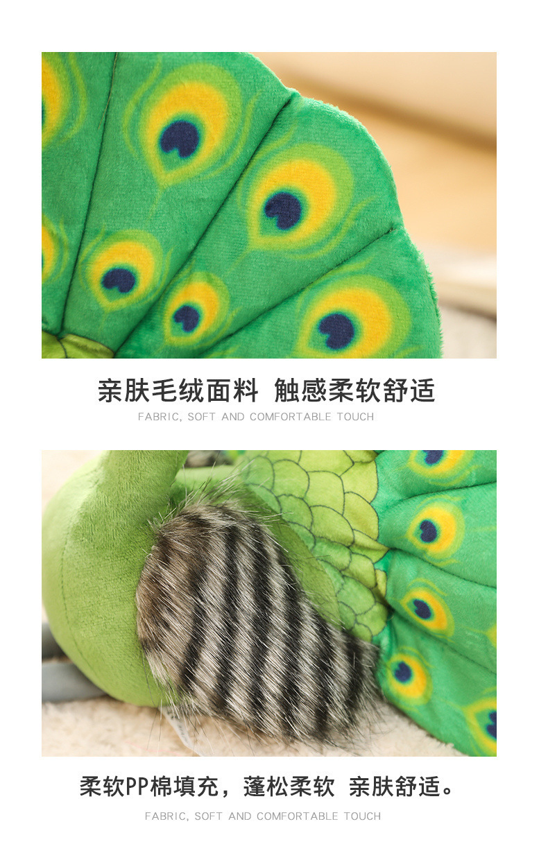 38-详情-孔雀_ (10).jpg?x-oss-process=image/format,png