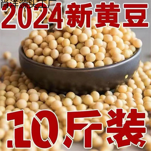 24��|���ܰl��ѿ���S��ɢ�b�l�S��ѿ���ö�������������С�S��