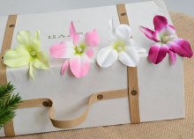 m^ٻ Сm仨^ DIYϻc ߽