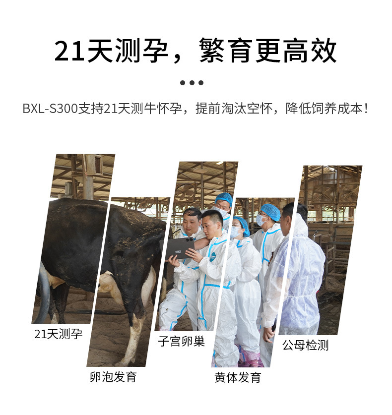 BXL-S300多普勒彩色B超机