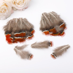 �x������ �~�u�t�^��ë Ұ�uë diy���Ʒ���b ��̨�������