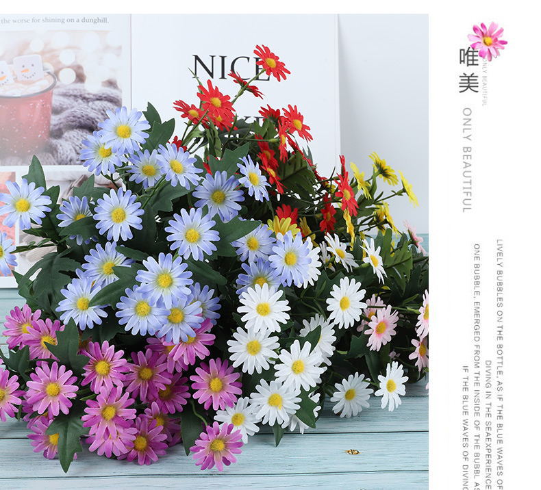 9头韩式菊 详情9