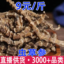 地参 虫草参 批发 云南虫草参云南地参 批发 量大从优 一件代发