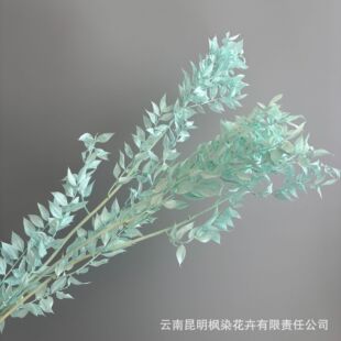 �羳���F�~С���~�Ĕz���߻�c�����͏d�Ƶ�廨�����b�������
