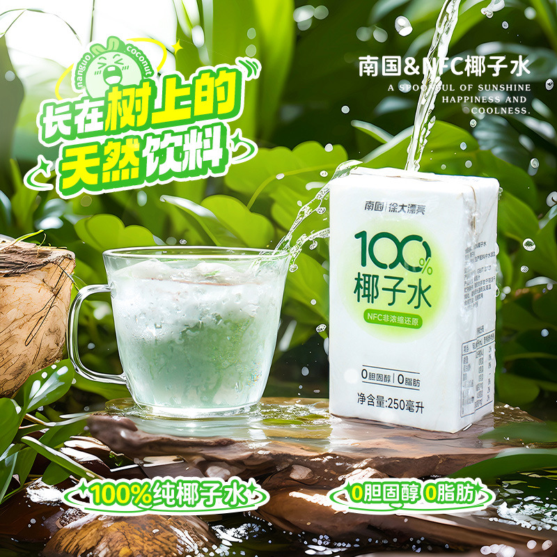 南国海南特产食品椰子水100%纯椰子水植物饮料椰水鲜椰子果汁饮料