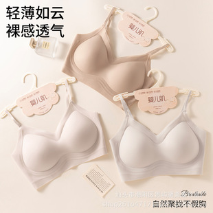 �ļ��������Пo�ۃ��¹̶������m͸��С�ؾ۔n���´��o�Ȧ������