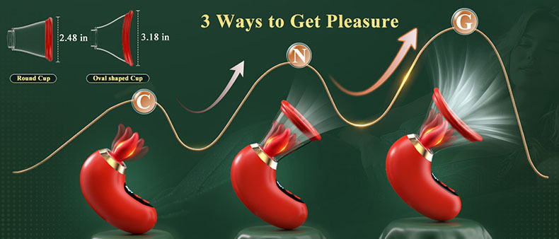 Vibrateur à succion 5 en 1 pour femme jouet sexuel rose puissant_voghion.com