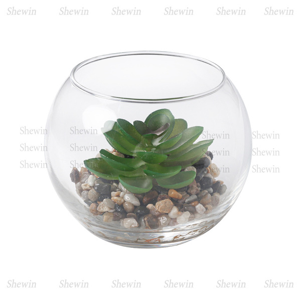 Spot apple leaf tropical plant succulent micro-landscape desert…
