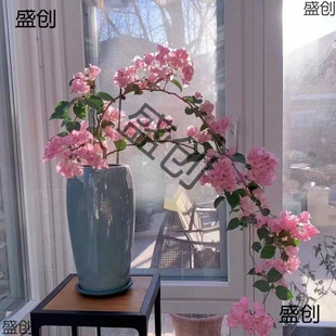 �h֦���z����÷��ɫ�ļ��_���̨�����Ϙ�Ǥ������B�S��ֱ�N���]