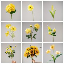 �¿��Sɫϵ��c���}���滨�Ļ�Y���쾰�~���b����ٻ�����