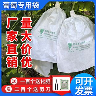 Grape Bag Bagging Wholesale Insect and Bird-proof Fruit Bagging Bag Fruit Paper Bag Fruit Independent Station One Piece Wholesale