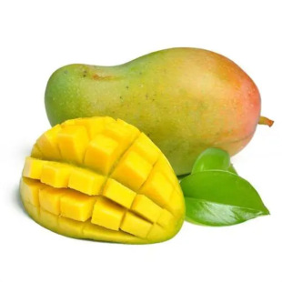���Ͻ��â���V���}������ˮ��â�����]�V���}�l؛���âһ�����l