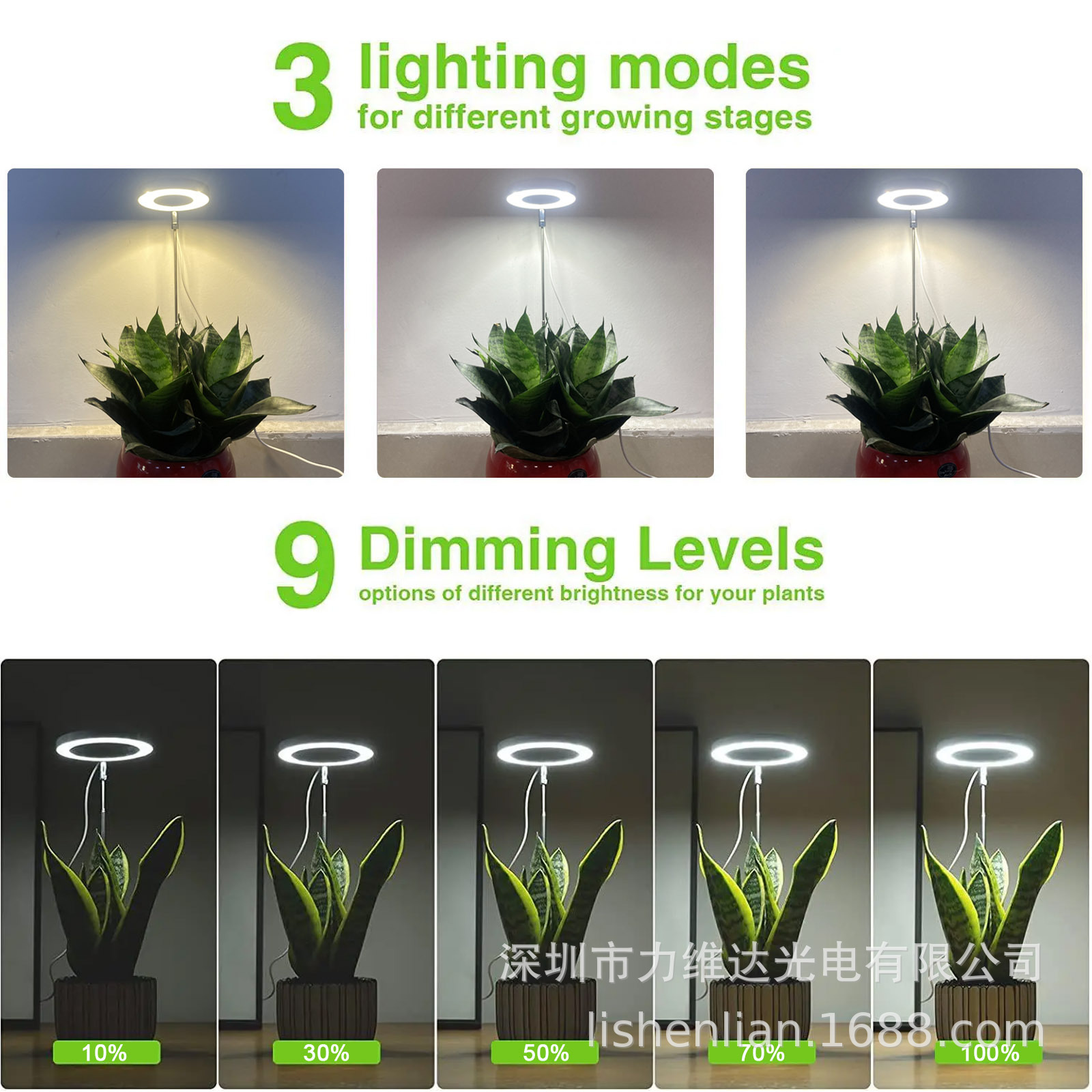 羳ֱʱл3000K6000KԲֲڲ