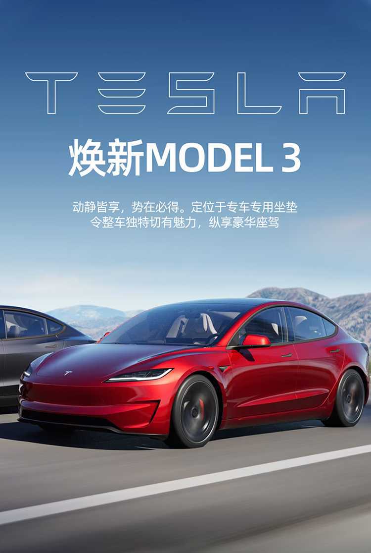 Specially Designed for Tesla's 25 New Model 3 Car Seat Cushions, Breathable Seat Covers and Seat Cushion Covers for All Seasons