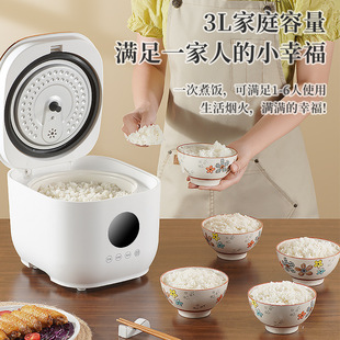 �羳110V������Ҏ����С��3L����1-3���մ��ԃ�đ��偳���