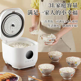 跨境110V电饭煲美规家用小型3L智能1-3人陶瓷釉内胆电饭锅出口