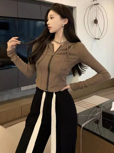 Pure Desire Lace-up Hooded Jacket for Women, Spring and Autumn Sexy Slim Fit Short Jacket for Women, Fishbone Pattern Short Top for Women, Trendy