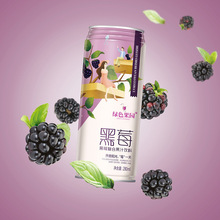 果园百分百黑莓复合果汁饮料 鲜果直榨 NFC浓缩黑莓果汁