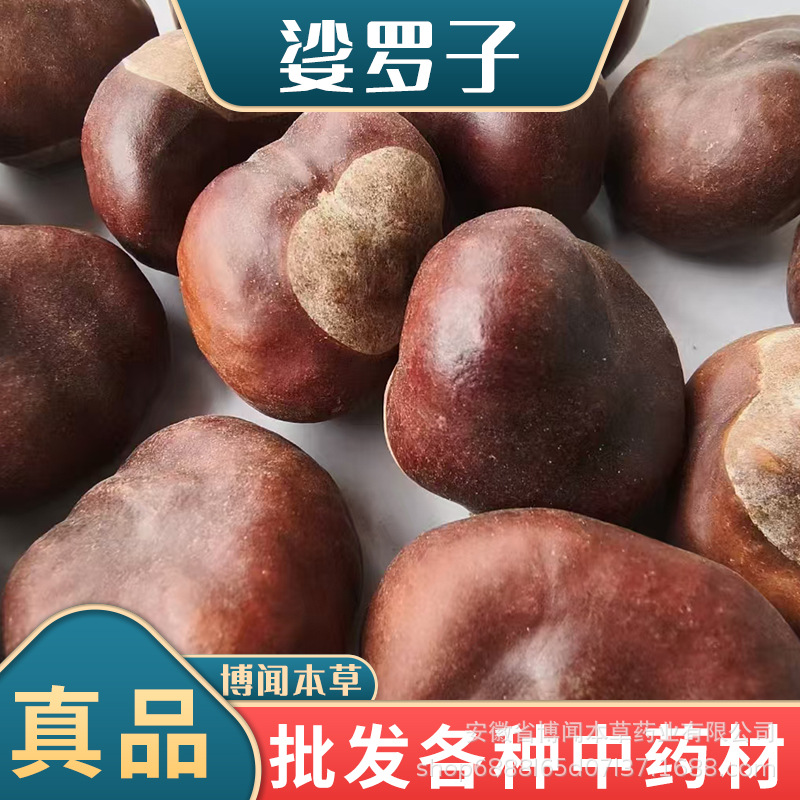 批发现货婆罗子娑罗子桫椤果梭罗果梭罗子娑罗子实力厂家直销原籽