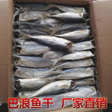 新鲜巴浪鱼干福建特产无头新货干巴浪鱼小提鱼咸鱼干干货包邮批发