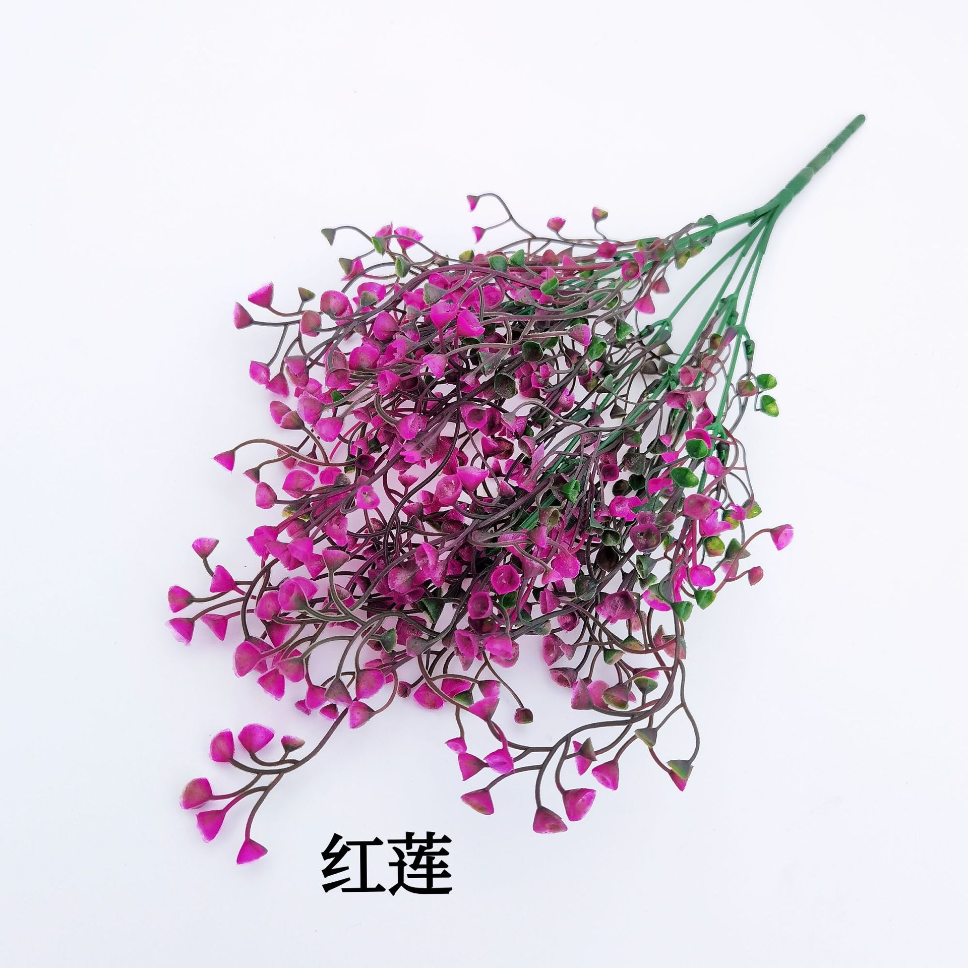 레드 로터스