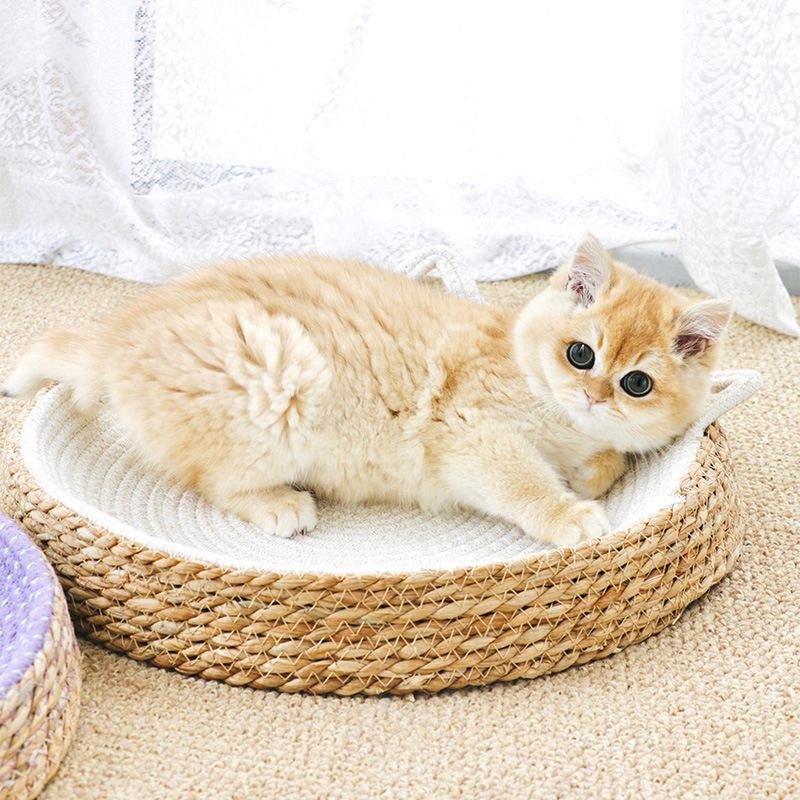 猫抓板窝磨爪猫爪板耐磨蒲草棉绳不掉屑猫窝抓盆一体猫咪用品玩具|undefined