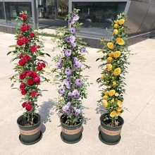 1��6�ߴ��ٱ��¼��Nޱ�������پGֲ���ļ��_��������õ���̨�Nֲ