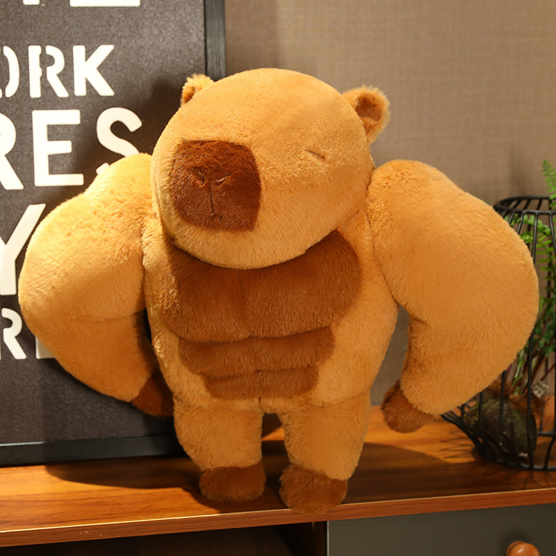 근육 카피 45CM/0.65KG