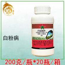 �ķ����� �S�ϲ�ݮ����¼�����׷۲����ǲ��rș������200g