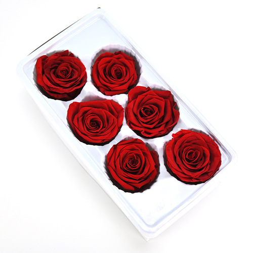 Magic flower immortal flower B grade 5-6 rose flower material unicorn dried flower wholesale glass cover diy rose bear material