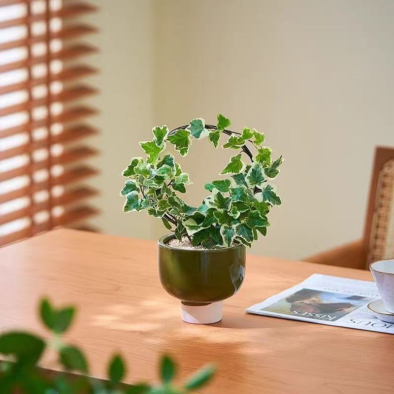 Creativa maceta verde árbol de hierro manzana verde bola de musgo / bambú batata hidroponía en maceta buena para mantener la mesa interior