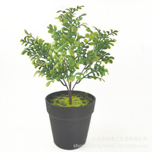 ����ݷ���Gֲ�@�־��^�쾰�廨��������ֲ�����������ϲ�