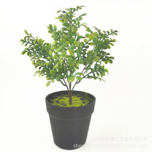 ����ݷ���Gֲ�@�־��^�쾰�廨��������ֲ�����������ϲ�