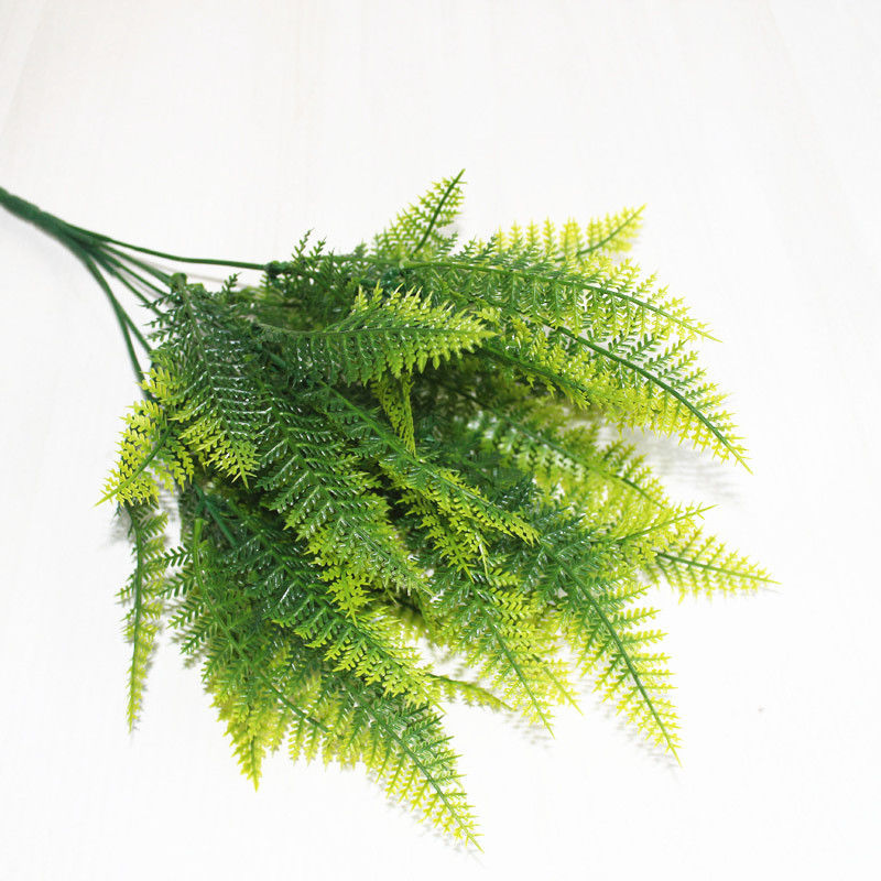 simulation Green plant Green Grass 7 Fern Botany Fern leaf Fern Persia Persia decorate