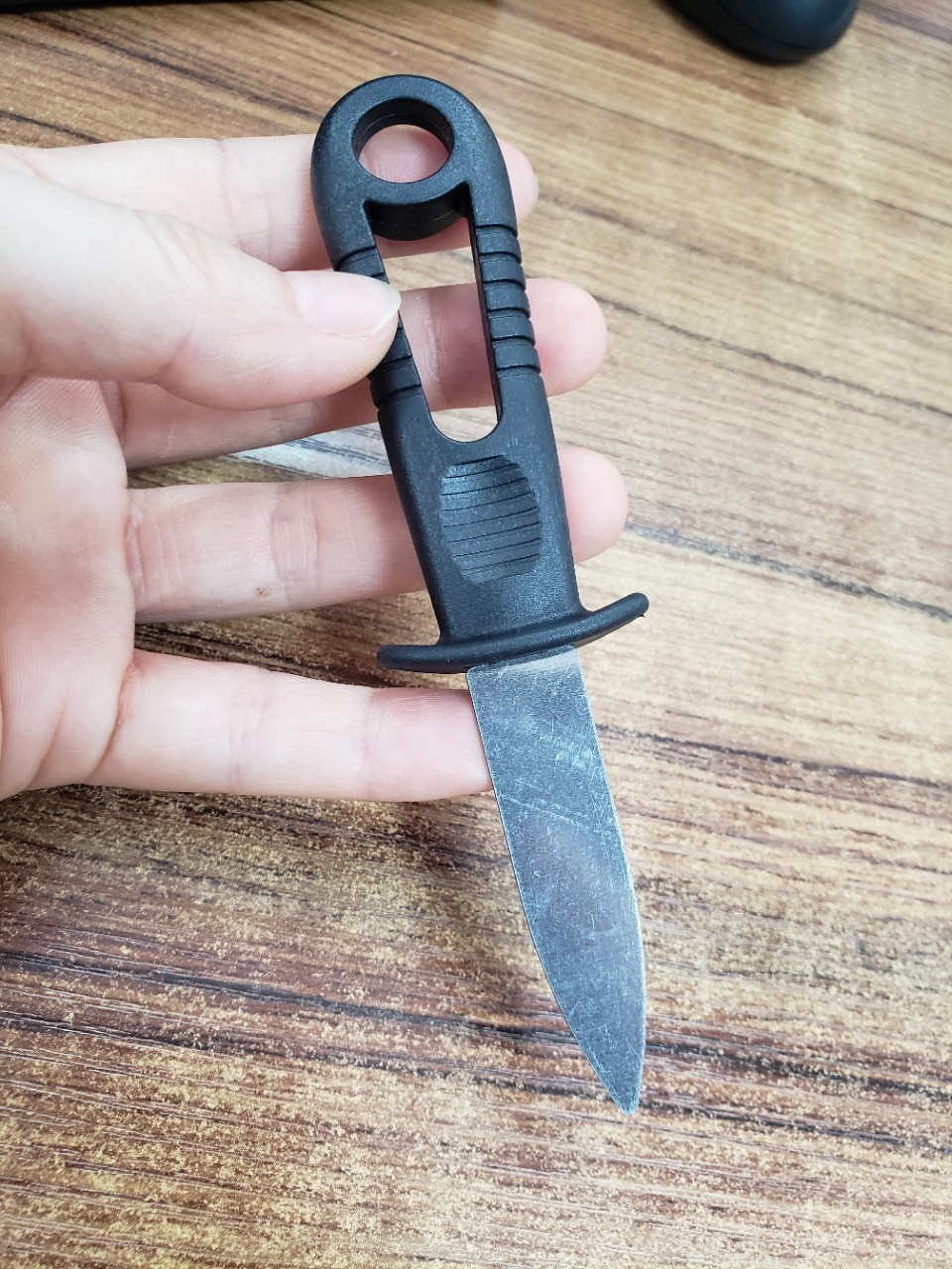 刀子 生蚝刀 贝壳刀