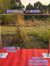 ��Ԫ�T�ڲ�᣼��r���T�ڻ�c�����Fˇ���ӱ�������s�U����ᣑ���